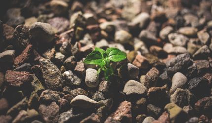 Highest number of ESG advertisers in market during Q4 2020