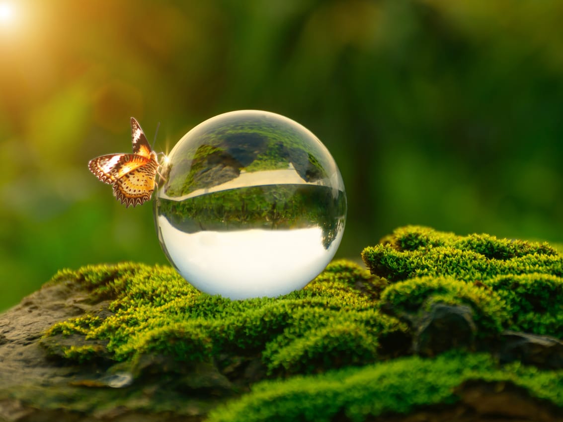 ESG advertisers in North America shift to brand campaigns