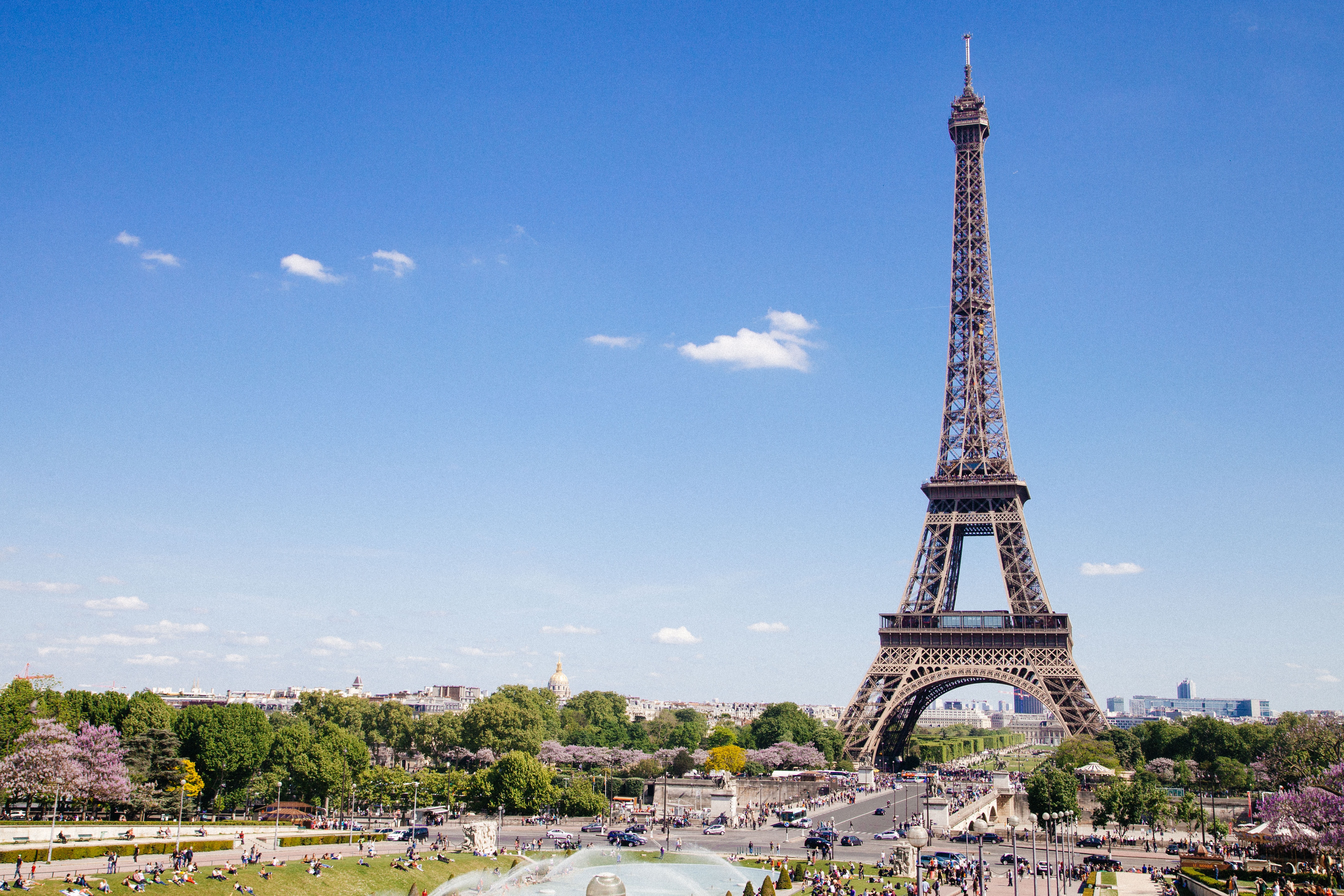 French intermediaries prefer qualitative asset managers