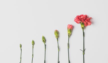 How asset managers advertise responsible investing in Europe