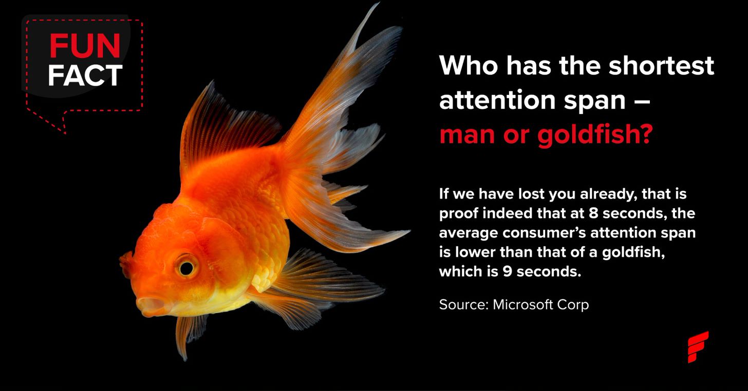 Fun fact fish