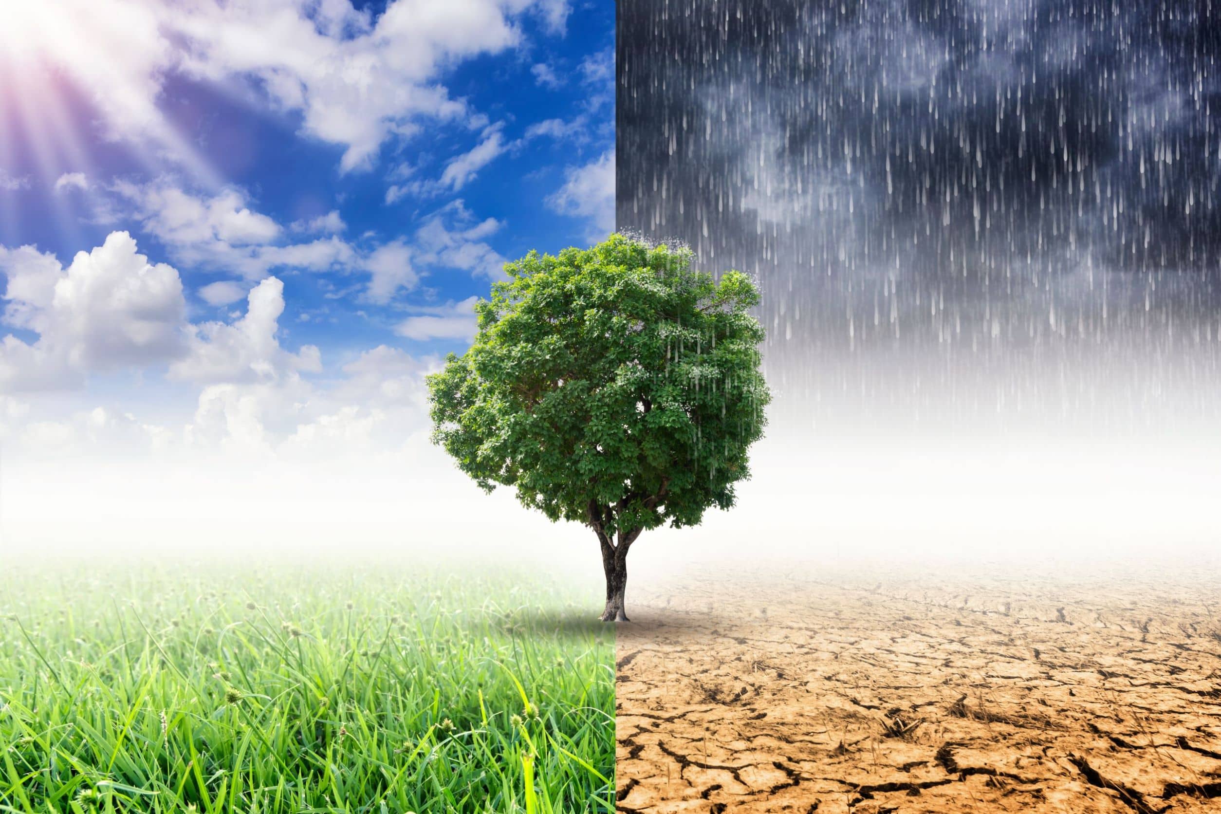 End investors: investment decisions can have climate impact