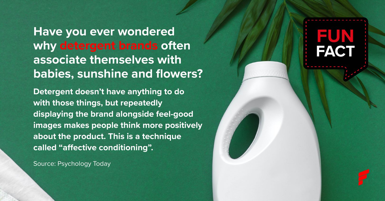 Fun fact detergent