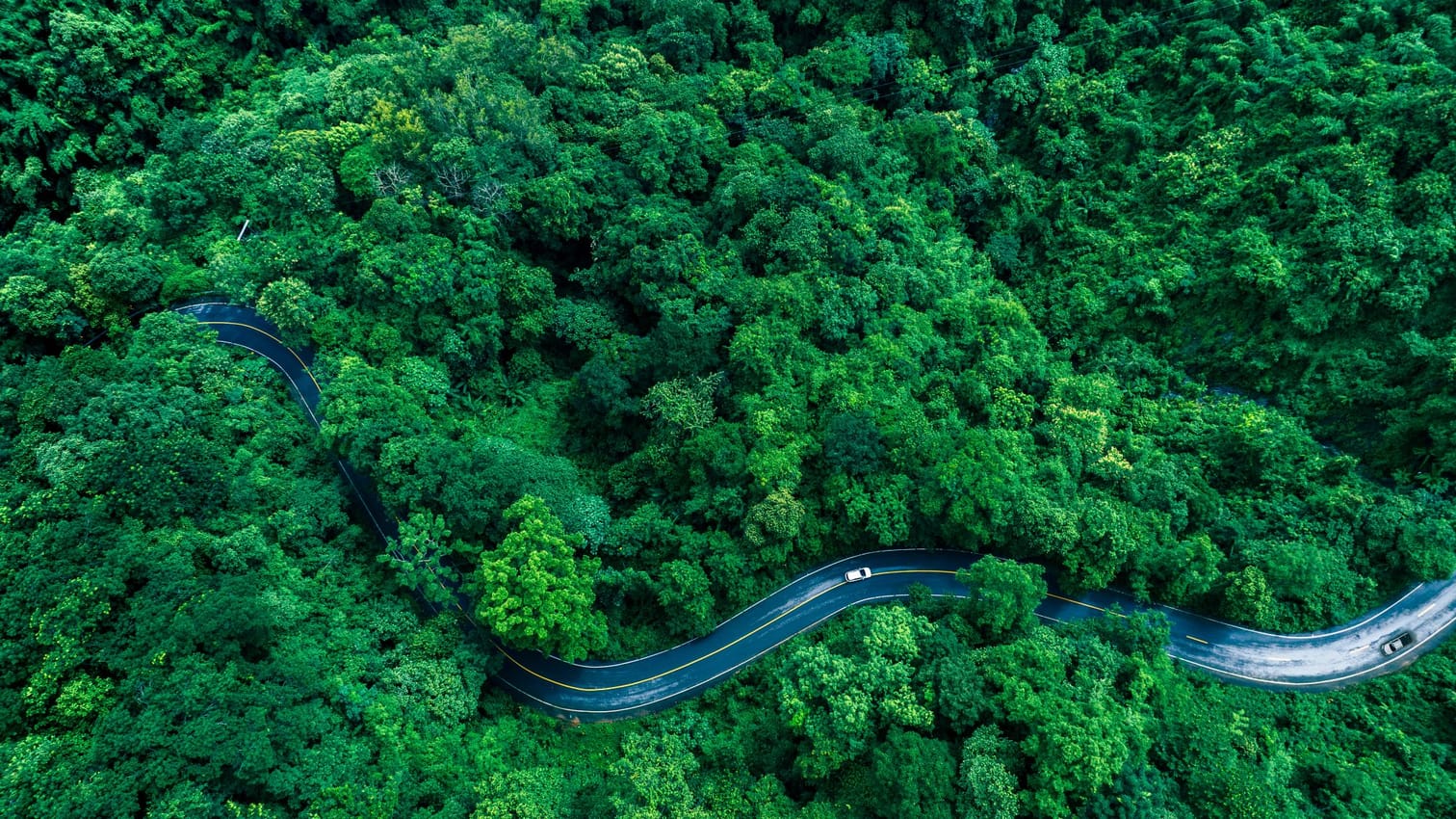 Brand-focused campaigns drive ESG advertising in Europe in Q2 2026