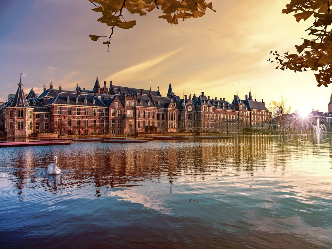 Dutch intermediaries prefer local managers