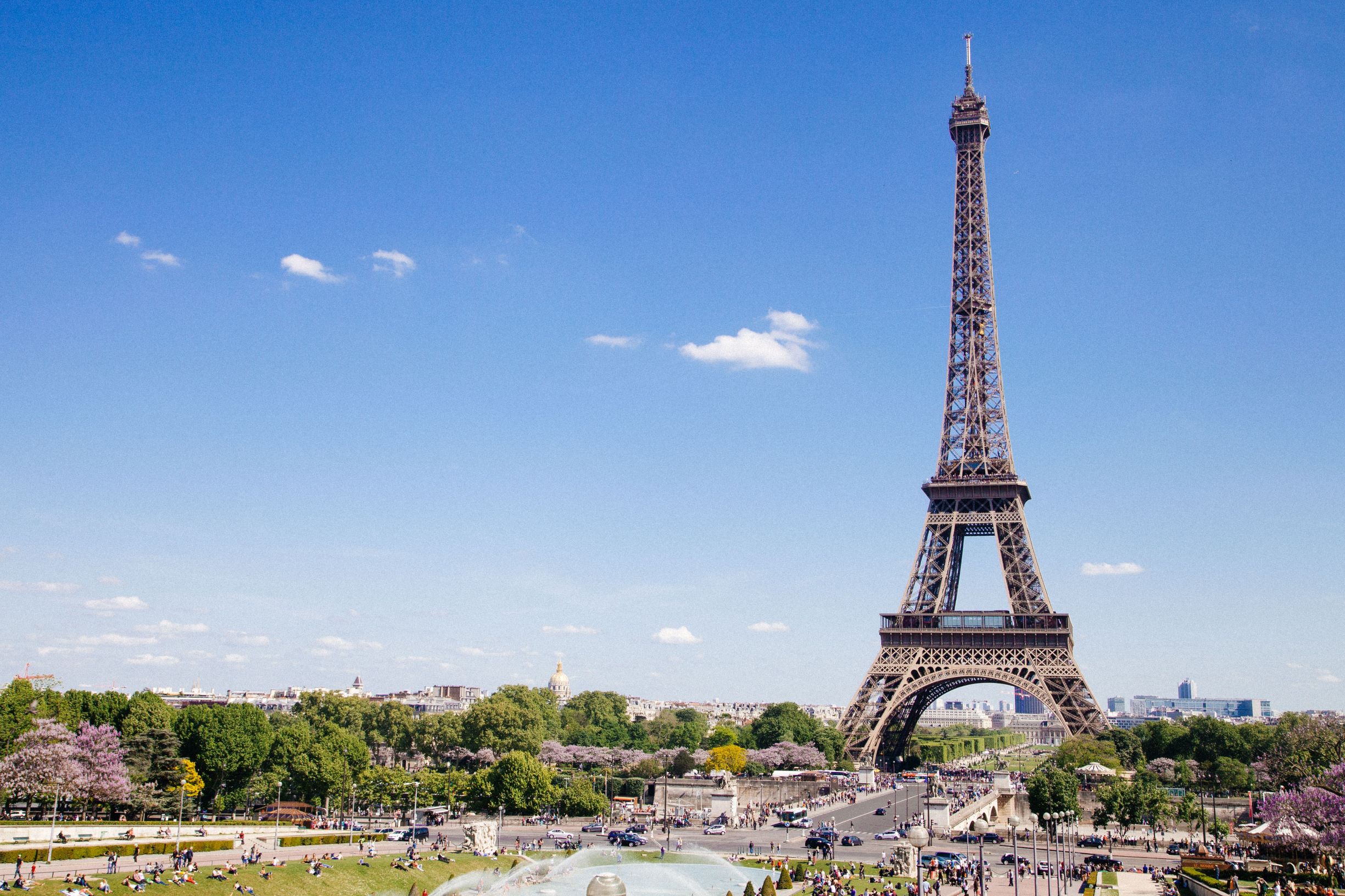 French intermediaries' social media usage continues to grow