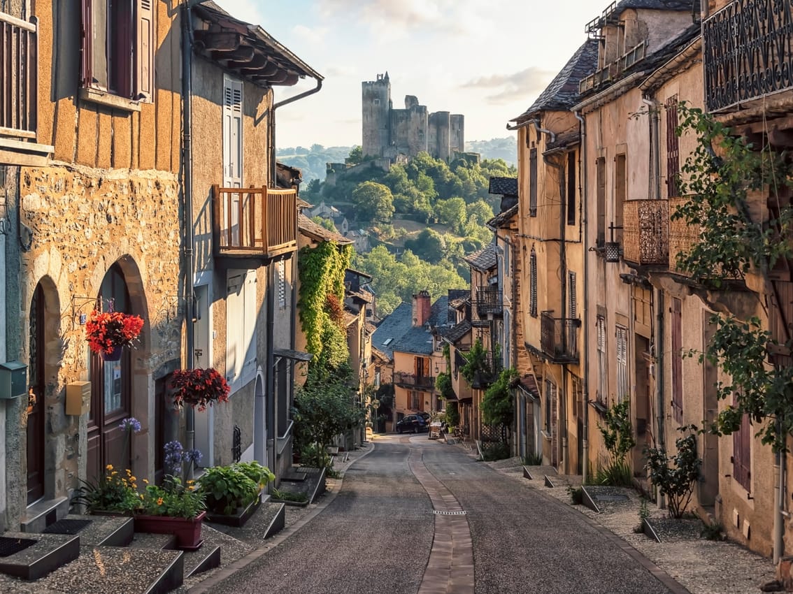 French institutional investors know most asset managers well