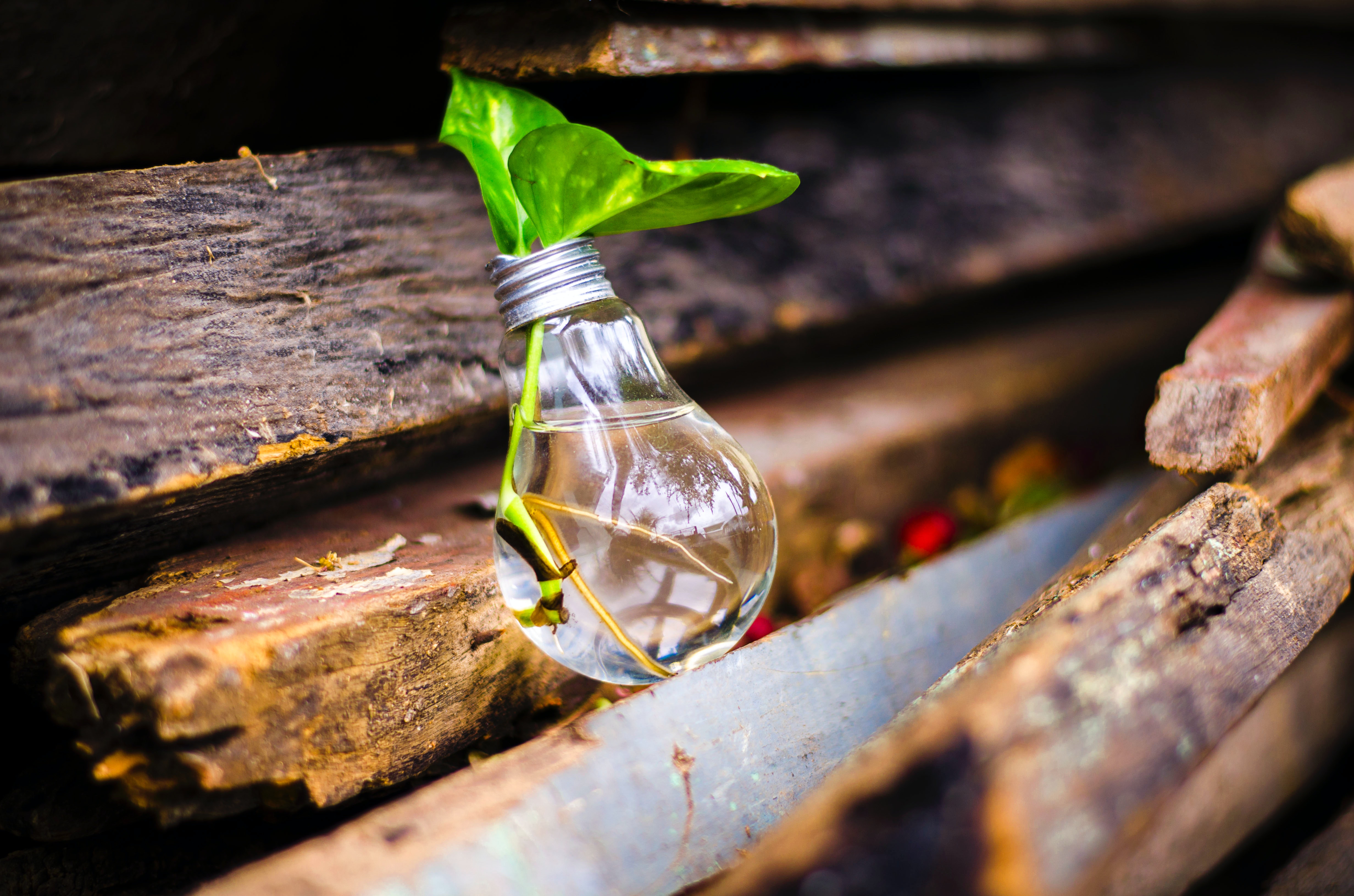 Fewer ESG advertisers in Q1: anomaly or start of a trend?