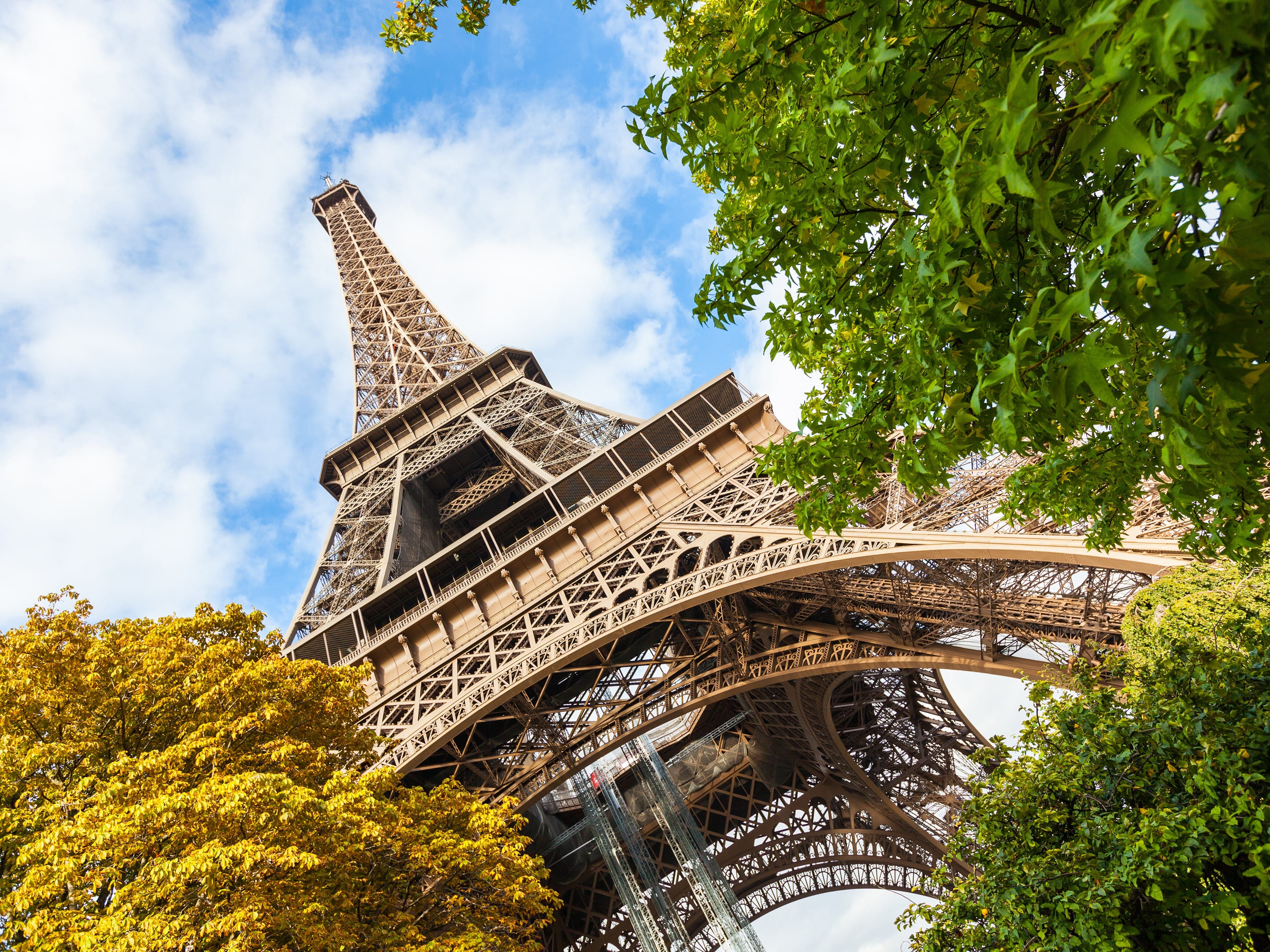 Quality perception shapes French intermediary behaviour