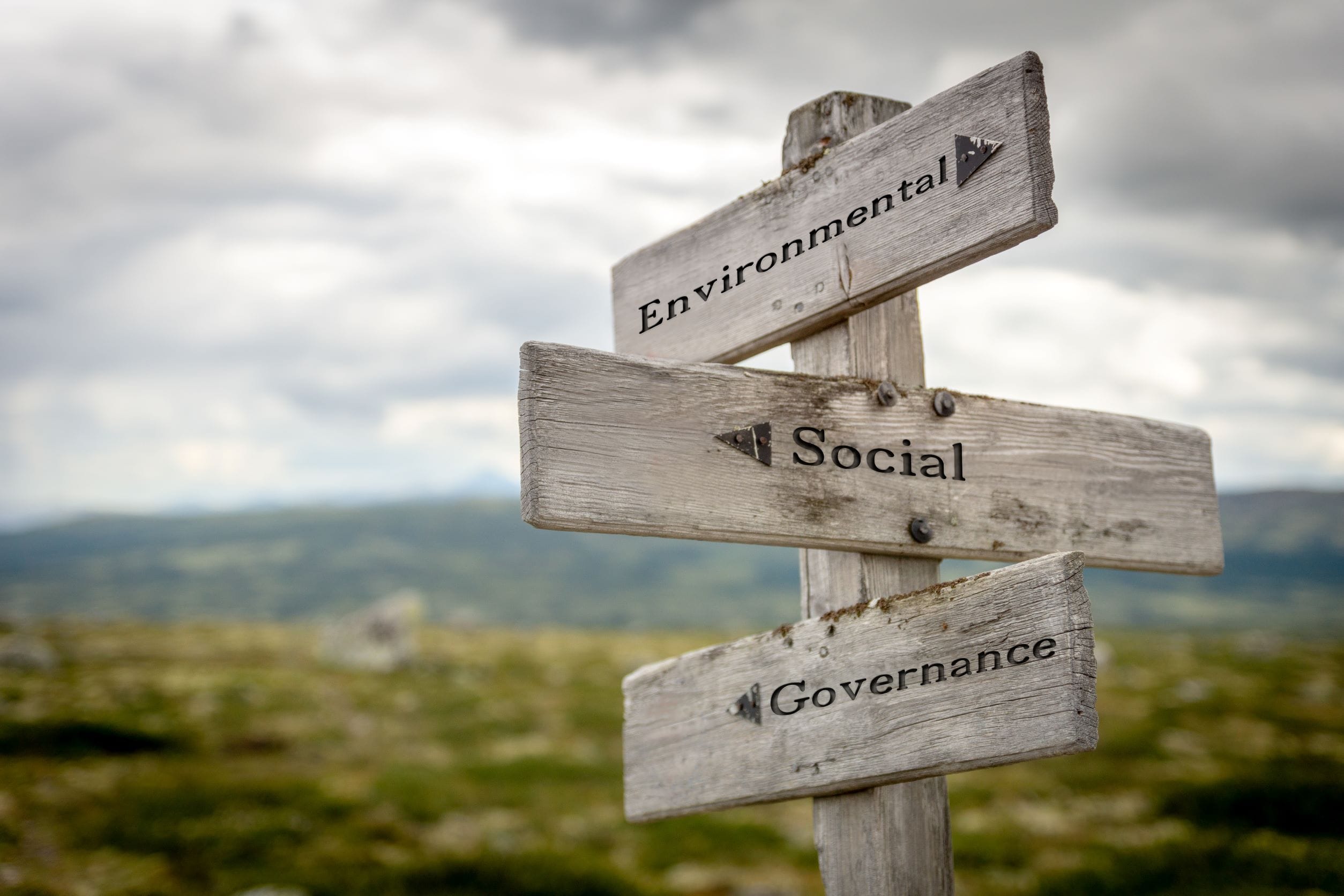 ESG advertising in North America drops significantly