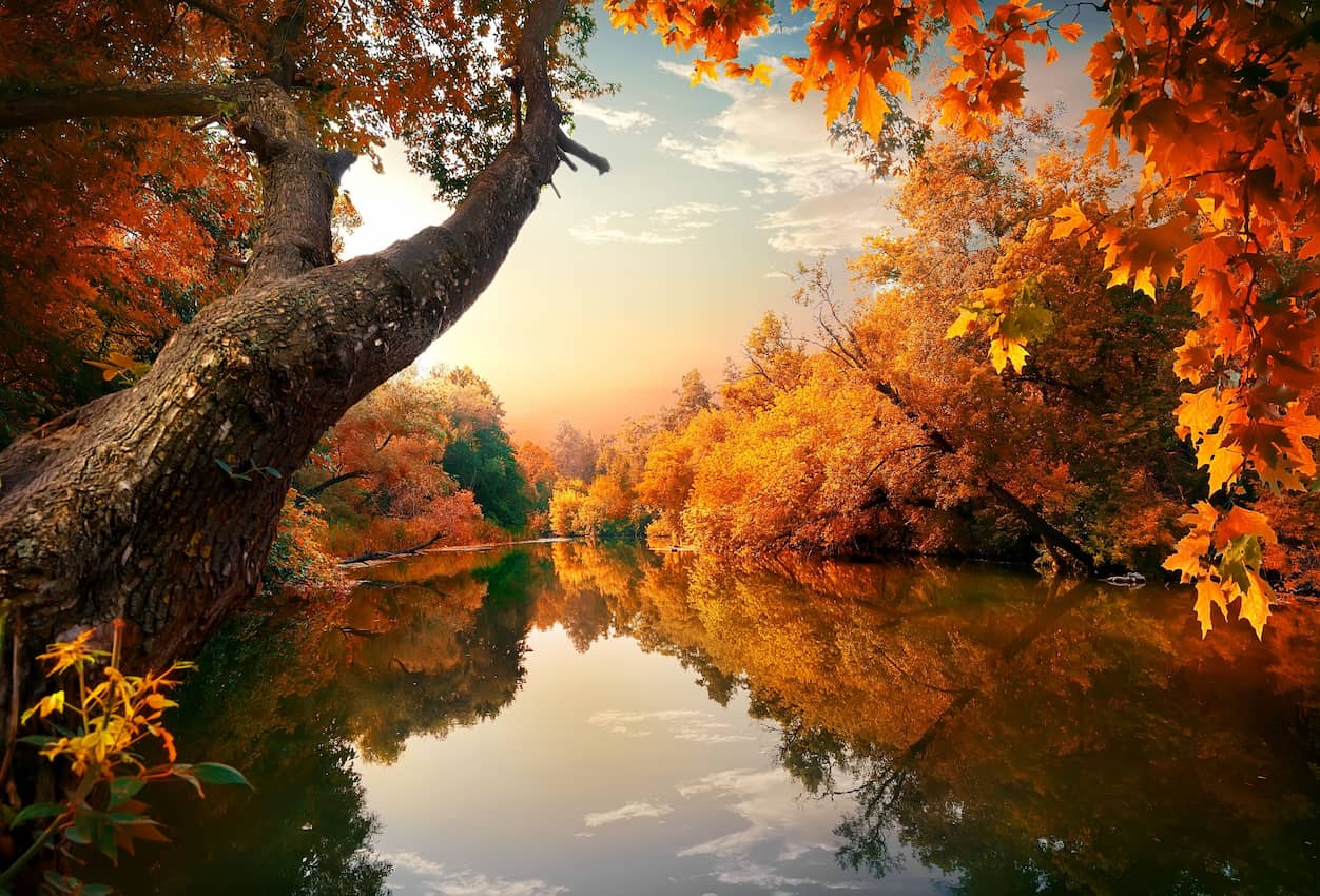 Autumn most popular time to launch new campaigns