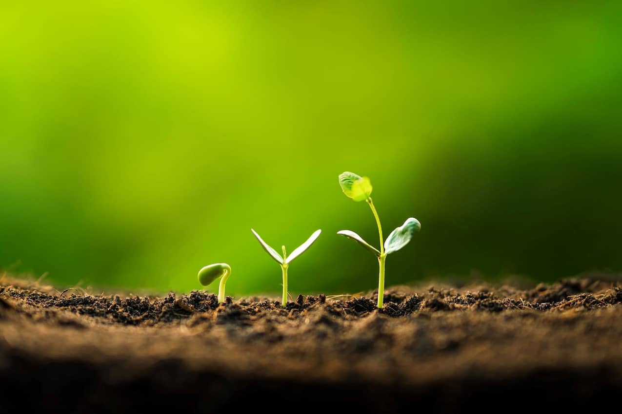 More asset managers promoting ESG in North America