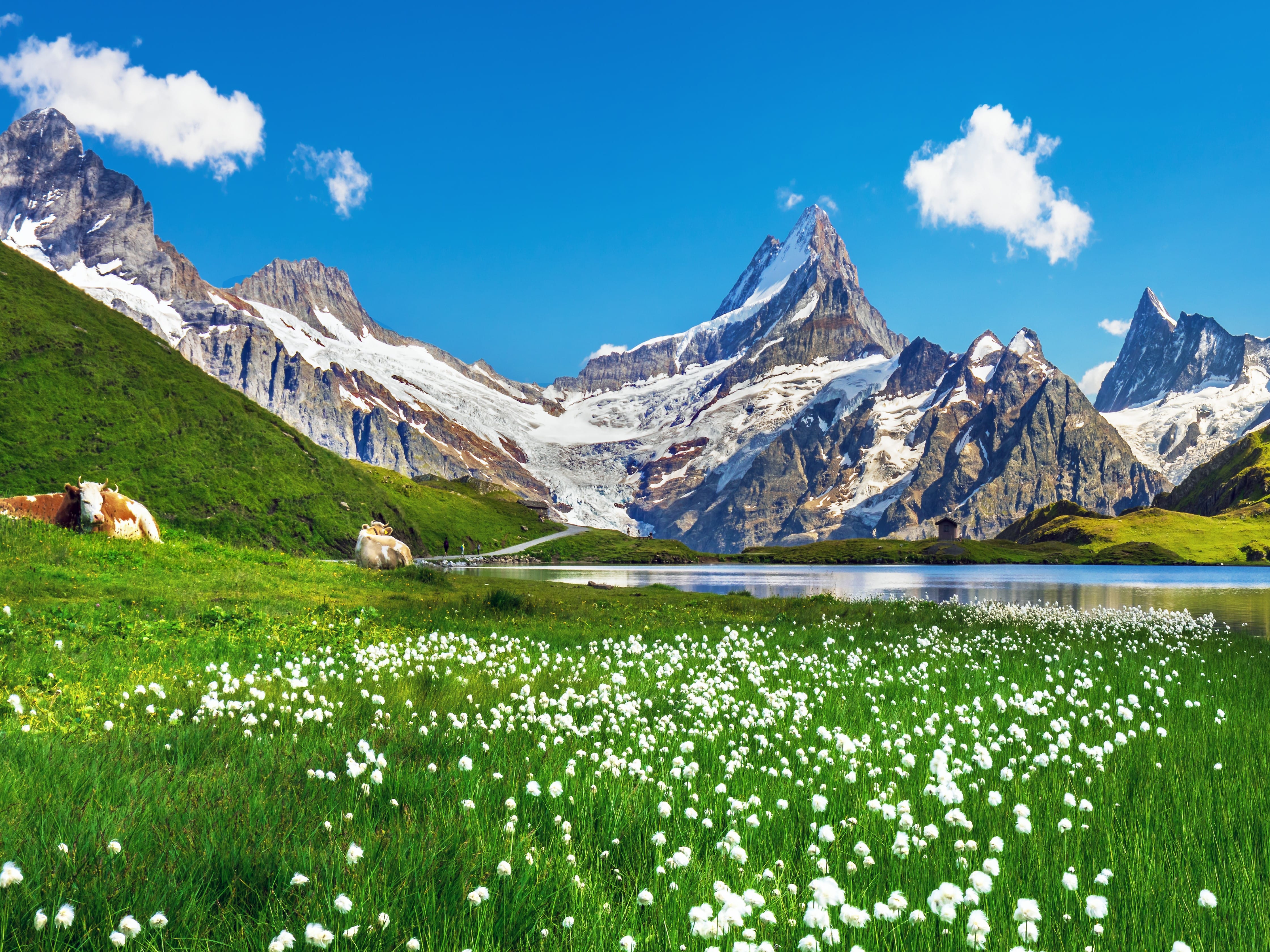 Four local asset managers in Switzerland’s top ten brands