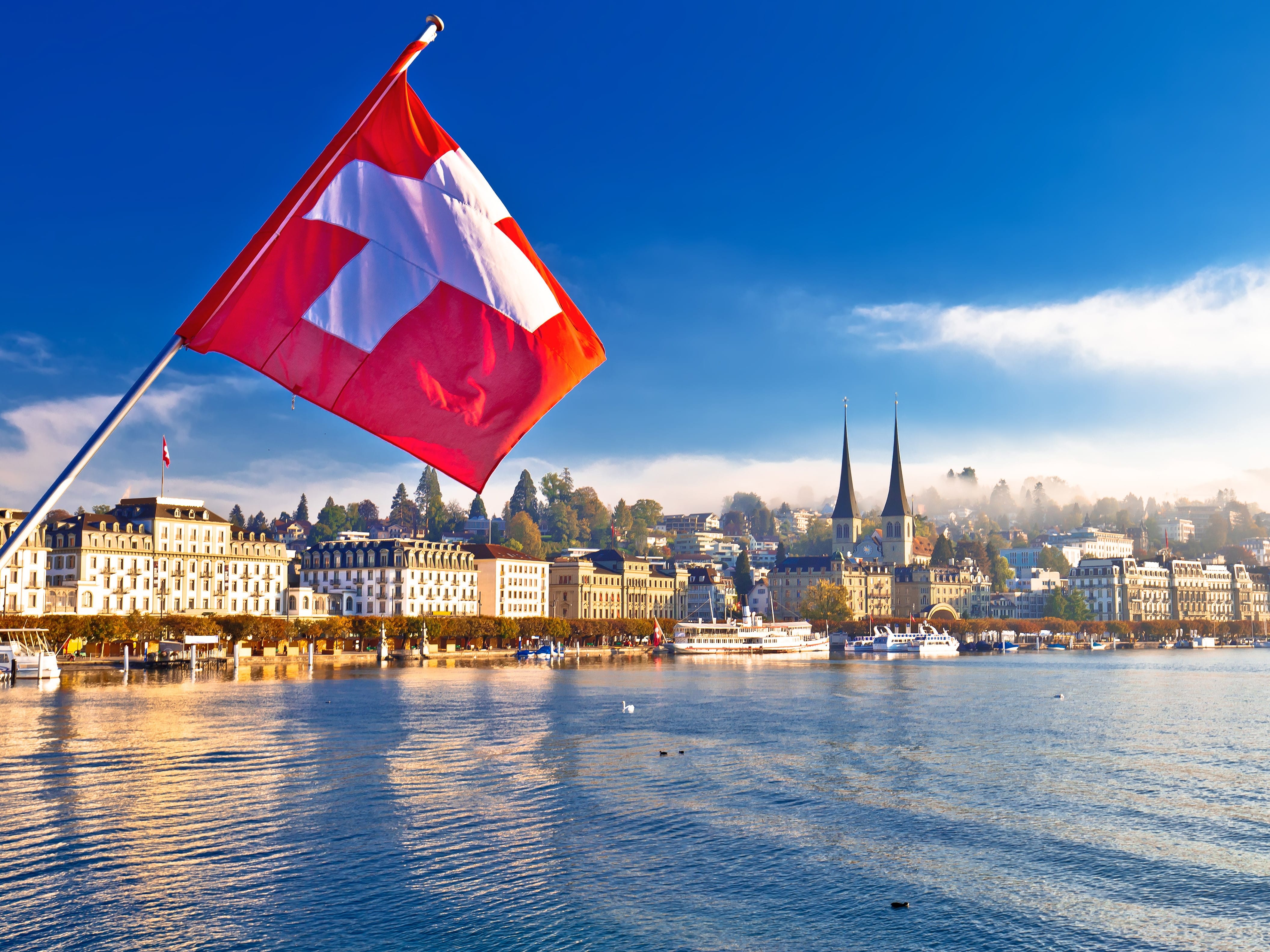 Swiss institutional investors' financial media consumption