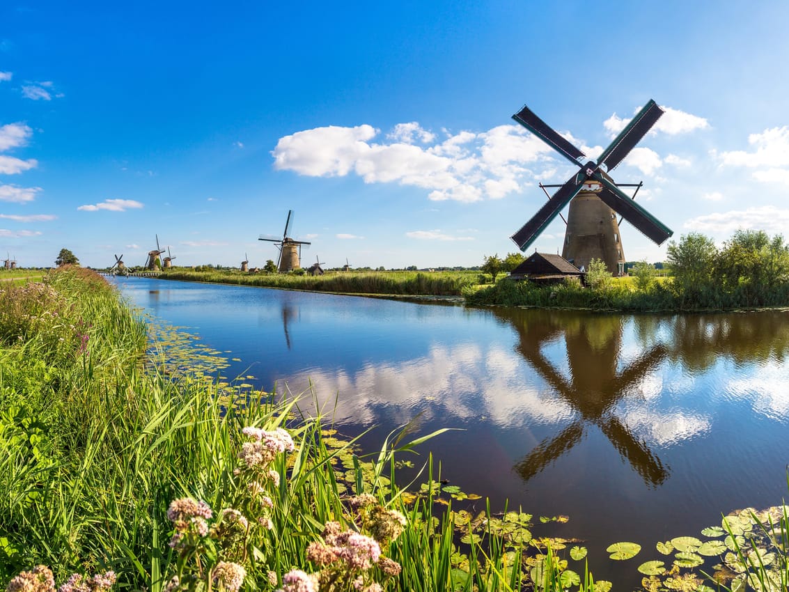 Local language media most popular among Dutch intermediaries