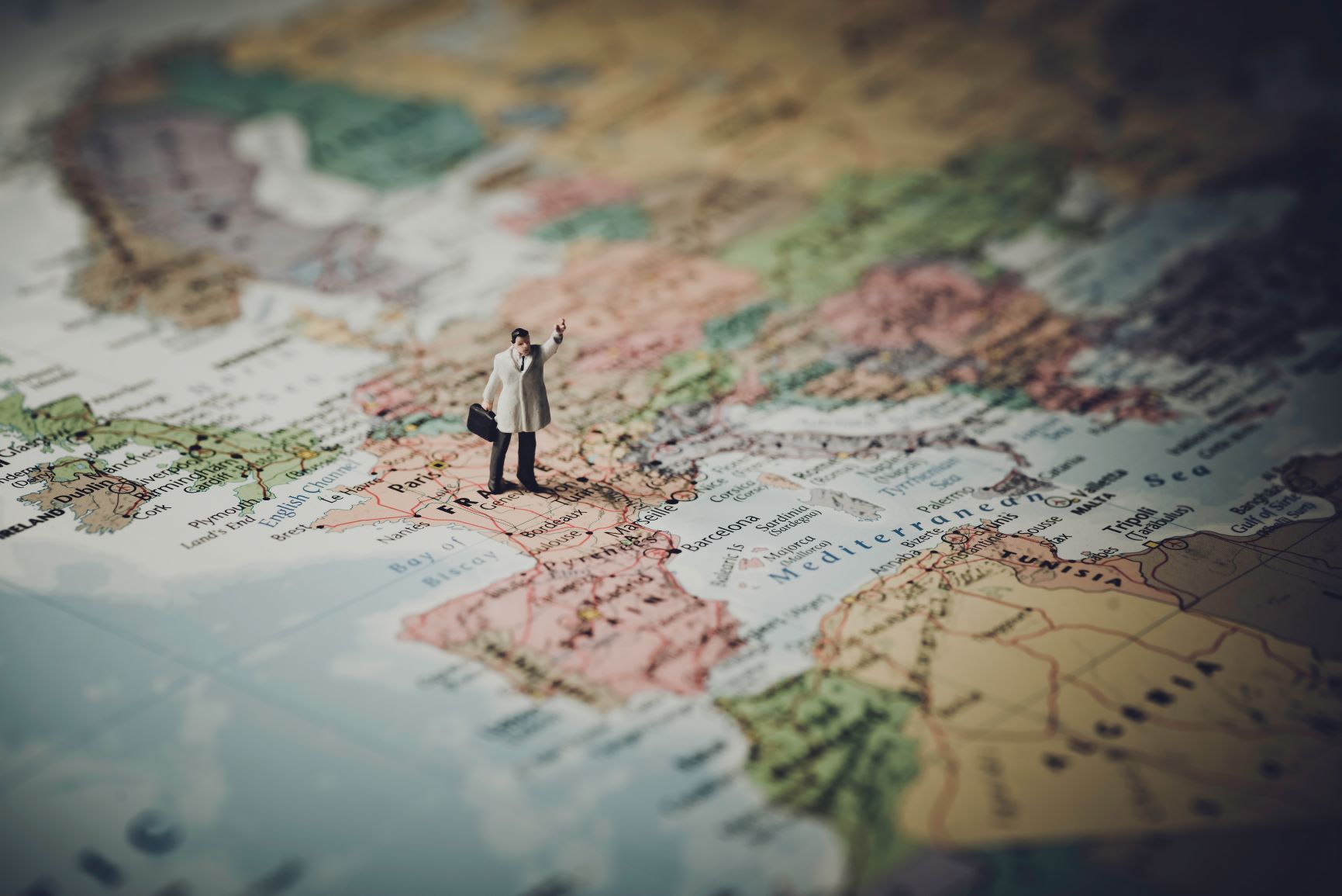 Differences in media trends among European investors