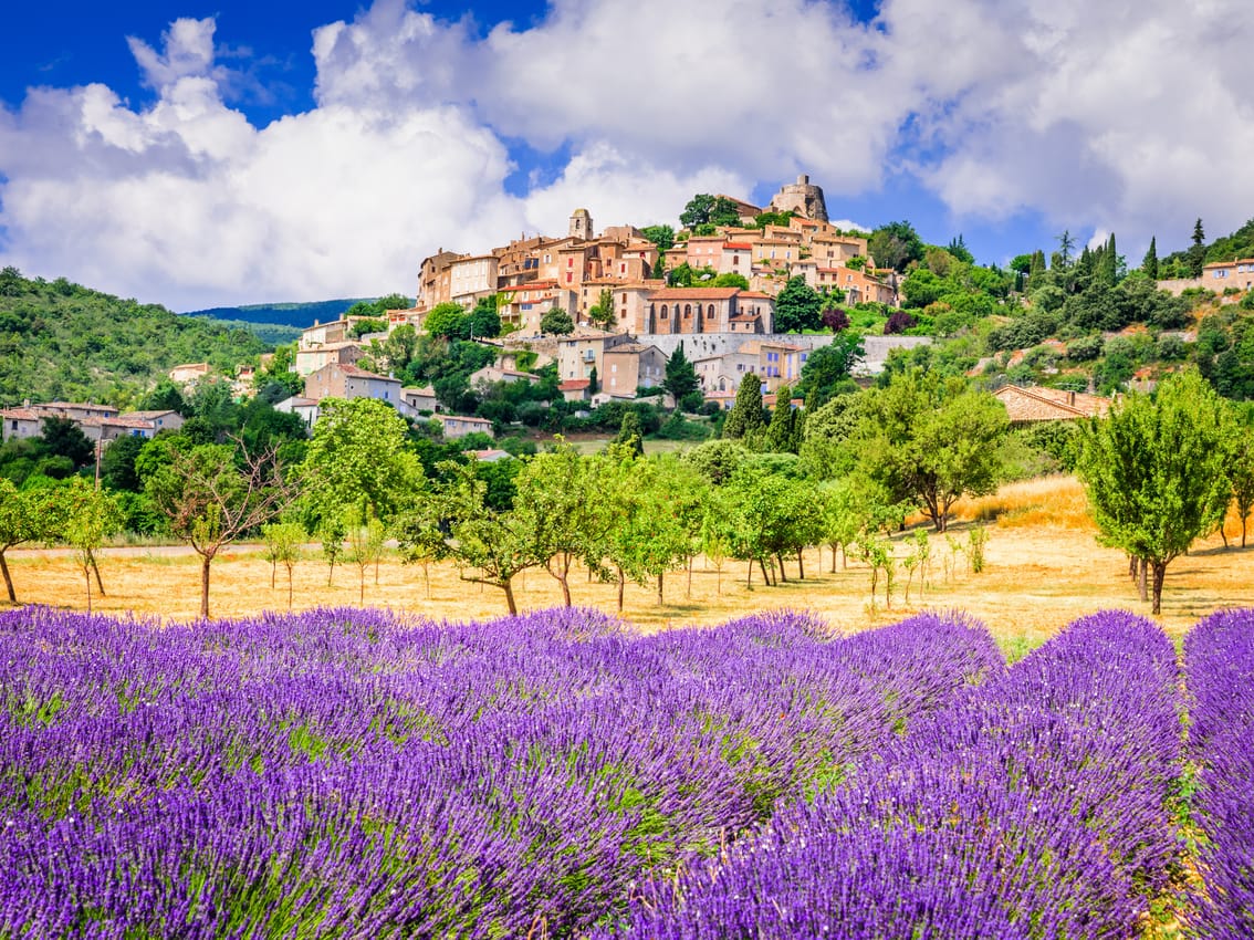 French intermediaries can more easily recall local managers
