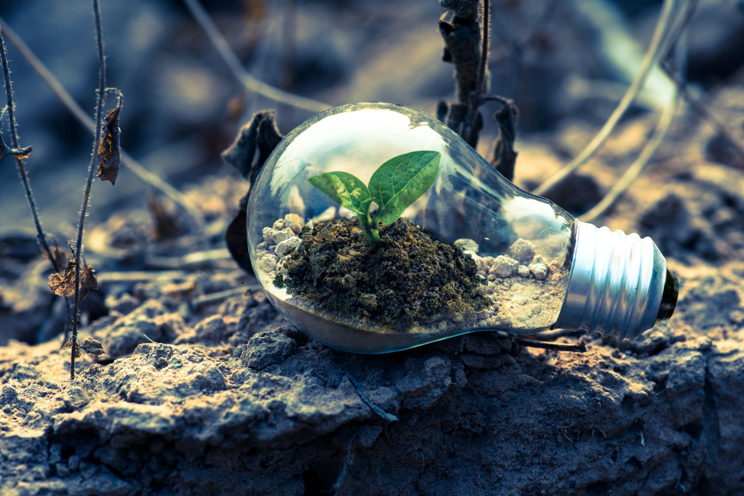 More asset managers promote their ESG offering during Q3